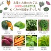 Botanical Label めぐみのDHA 赤ちゃんに届ける DHA サプリ EPA βカロテン 妊婦 妊娠初期