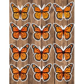 Monarch Butterfly Die Cut Vinyl Stickers  Scrapbooking Laptop Waterbottle