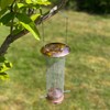 Copper Style Hanging Wild Bird Nut Feeder