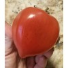 Hungarian Heart Tomato Seeds (30) / Heirloom / Organic /
