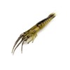 KTGCOZS Pack of 10 2.75" Shrimp Lures Soft Plastic Bait