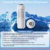 AIZGUOGL Compatible with 51600C2PC Filter, Replace for Elkay Water Filter