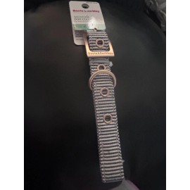Boots & Barkley Railroad Stripe Medium Dog Collar