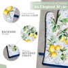 Maison d' Hermine 100% Cotton Oven Mitt & Pot Holder