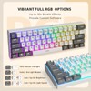 iLovBee i61 Mechanical Keyboard 60 Percent, Wired RGB Gaming Keyboard,