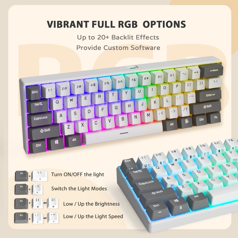 iLovBee i61 Mechanical Keyboard 60 Percent, Wired RGB Gaming Keyboard,
