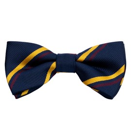 Alizeal 8-12-year-old Boys Printed Fun Novelty Pre-tied Kids Bow Tie, Navy+Yellow