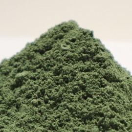 Chamduri fine mugwort powder powder 500g (domestic), mugwort, etc. / 참두리 고운 쑥 분말 가루 500g (국내산)개똥쑥 등