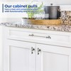 JOY DECOR 10 Pack 5 Inch Brushed Satin Nickel Kitchen