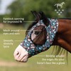 Professional's Choice Comfort-Fit Fly Mask