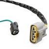 Stator Generator For Honda TRX420 FA1 FA2 FA5 FA6 Rancher