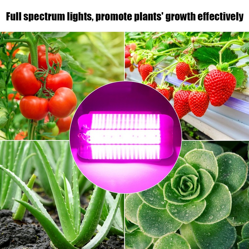 220V 50W Indoor Plants COB LED Growing Light Full Spectrum