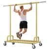 Raybee Heavy Duty Clothes Rack, Gold Clothing Racks for Hanging