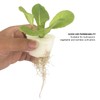50PCS Soilless Hydroponic Root Fixer Planting Baskets Plant Grow Hydroponic