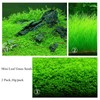 MISUHALOU 2 Pack Aquarium P-l-a-n-t S-e-e-ds for Fish Tank (0.35