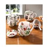 Könitz Tea for You - My Favourite Tea - Fruits