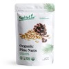 Food to Live Organic Pine Nuts, 1 Pound – Non-GMO,