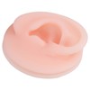 Professional Soft Silicone Ear Model Fake Ear Display Sample Ear