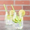 Green Paper Straws - 24 Count | Bright Green, Eco-Friendly