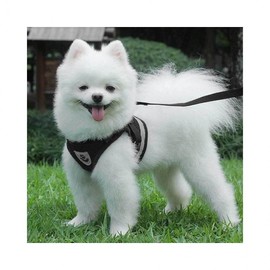 LuminaD Dog Set Leash for Large Dogs Outing