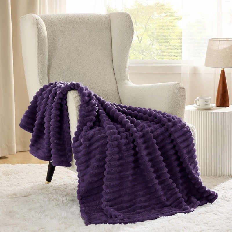 Bedsure Bedsure Purple Twin Blanket for Bed - GentleSoft Cozy