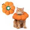 Elizabeth Color Cat Soft Waterproof Lightweight Wound Protection After Surgery