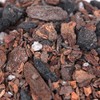 Orchid Nerd Potting Soil with Perlite, peat Moss, Coconut, Charcoal