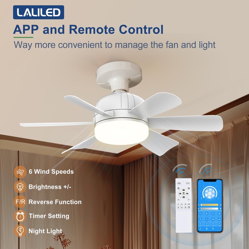 Laliled Ceiling Fan with Light – Socket Fan Light with