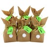 Easter Bunny Paper Gift Packaging Set for DIY Craft and