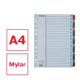 Esselte Mylar 1-31 Part A4 Dividers - Multicoloured