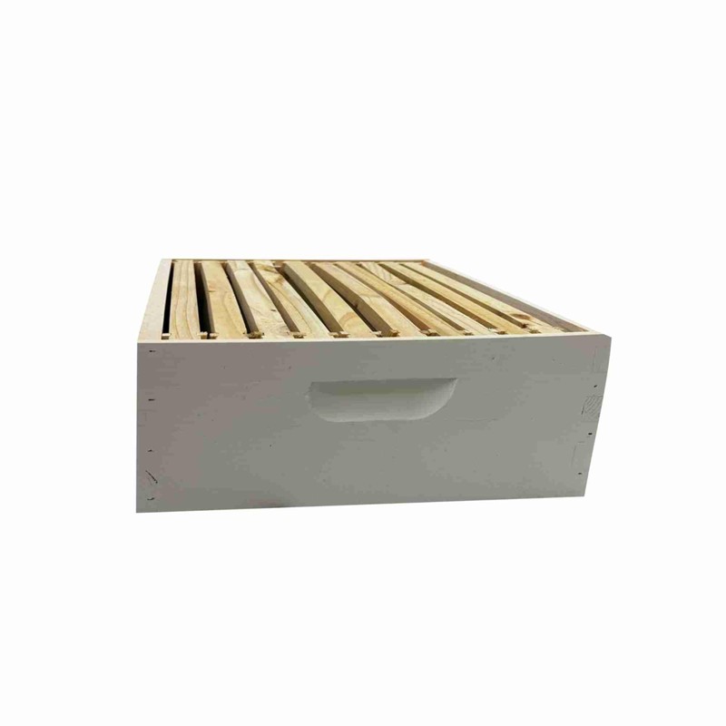 Harvest Lane Honey WWBCM-102 Medium Honey Box with frames and