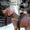 Forestpaw No Pull Dog Harness with Large Handle,Slip on Reflective