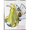 Mad Hornet Spinner Bait