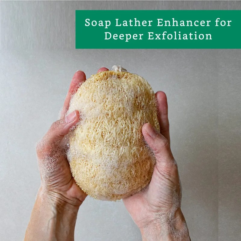 Esponja Exfoliante 100% Natural De Lufa Esponja De Lufa