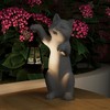 mikilov Cat Resin Statue with Solar Lantern (Hand Statue Decoration,