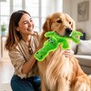 MAOOOOB No Stuffing Dog Squeak Toys- Chew Toys for Small