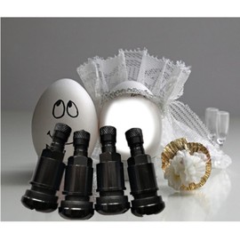 Metal Wheel Valves, Car Tire Valves Aluminium Alloy Leak Proof Tyre Valves Tire Valves for Car Motorcycle 6 Pieces Loopunk