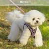 Dog Harness and Leash Set, Dog Harness for Dogs No