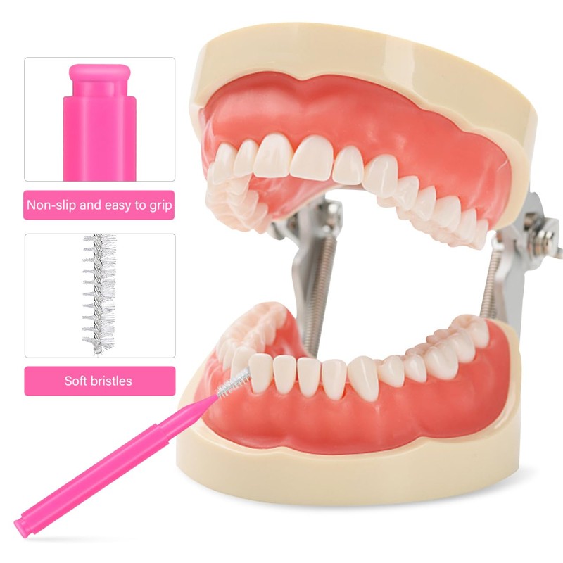 Healvian 100 Piezas Cepillos Interdentales PortáTiles Para Ortodoncias,Cepillos De Interdentales,Palillos