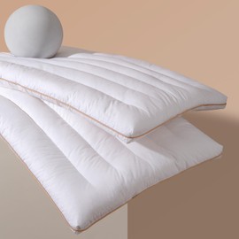 LXXHZZ Ultra-Thin Flat Pillow with Neck Support – 2.5 Inch Low-Profile Design for Stomach Sleepers, Standard Size 18x26 Inches, 100% Breathable Cotton Slim Bed Pillow – 2 Pack