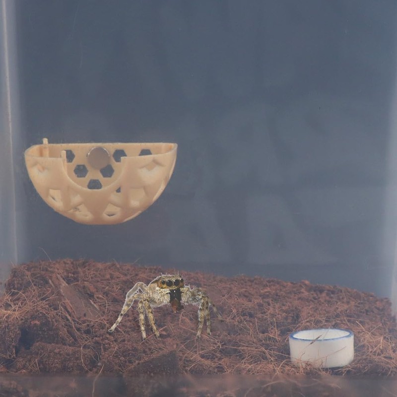 DQITJ Jumping Spider Hidden House Tarantula Enclosure Accessories with Magnet