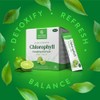 Nature's Sunshine Chlorophyll Stick Packs: Supercharge Your Detox and Boost