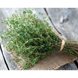 Seeds4planting - Seeds Thyme French Garden Perennial Herb Non GMO for Planting 500 Seeds