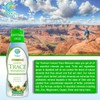 Tropical Oasis - Premium Ionized Plant Based Trace Minerals Liquid