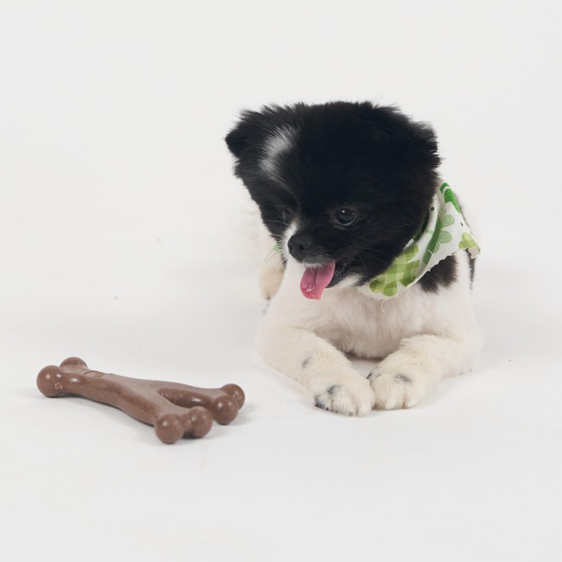 SPOT Bam-Bones Wishbone - Made with Strong Bamboo Fiber, Durable