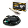 Area1 Replacement Ignition Coil + Spark Plug Plug + Spark