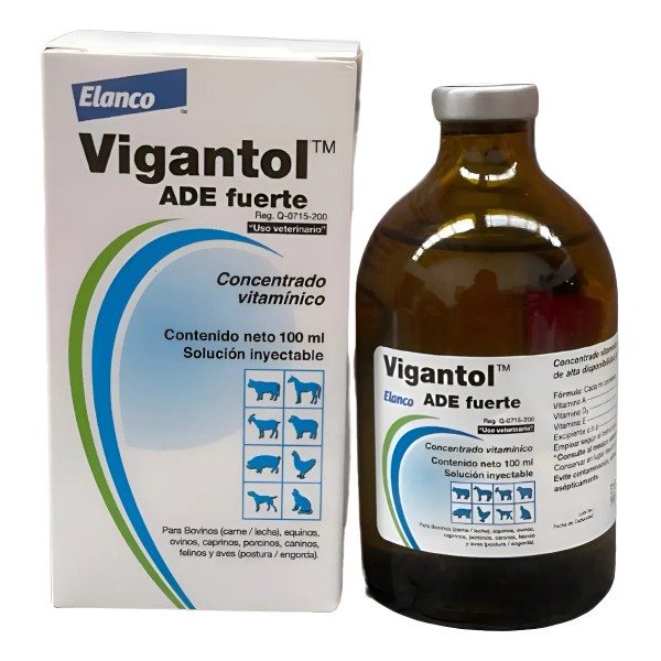 Vigantol Ade 100 Ml 80776773