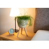 Decorasian Flower pot with integrated stand, braided from seagrass -