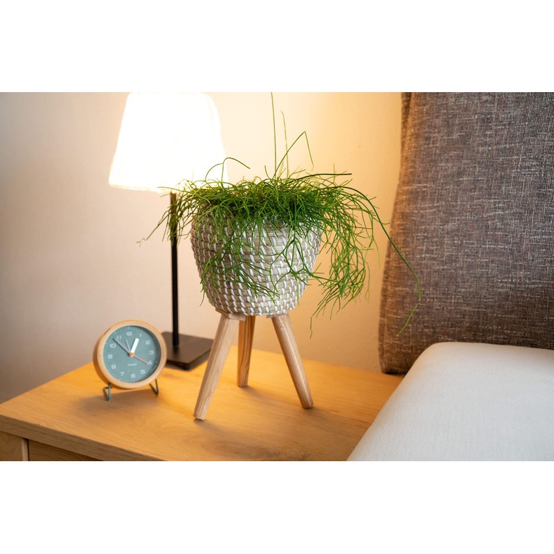 Decorasian Flower pot with integrated stand, braided from seagrass -