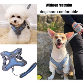 SKXEO Small Dog No Pull Harness and Lead Set - Adjustable, Breathable, Reflective, Lightweight Pet Vest Harness - Escape Proof, Easy Control for Outdoor Walking & Training